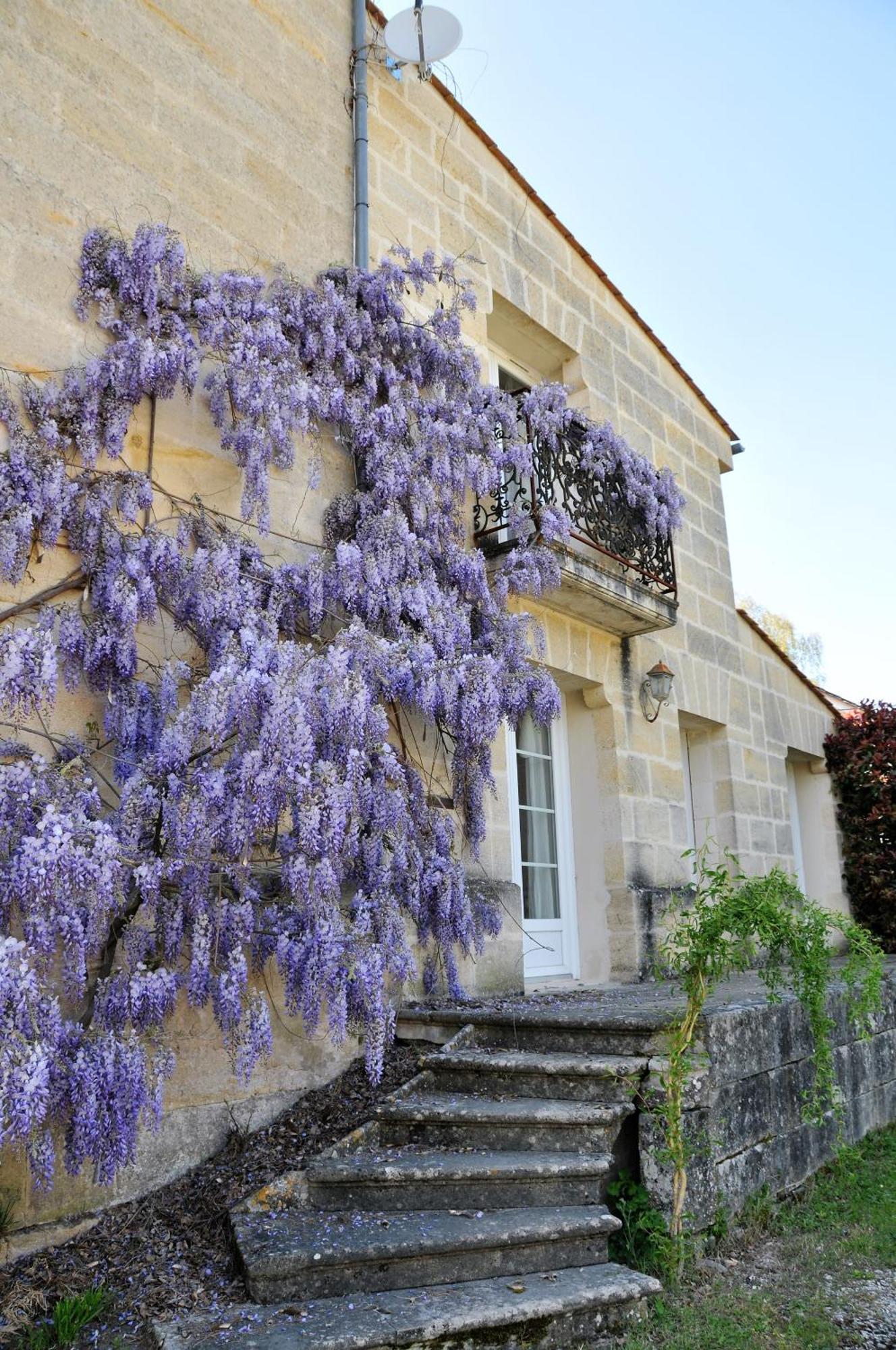 Buisson Gite Et Chambre D'Hote Laruscade Dış mekan fotoğraf